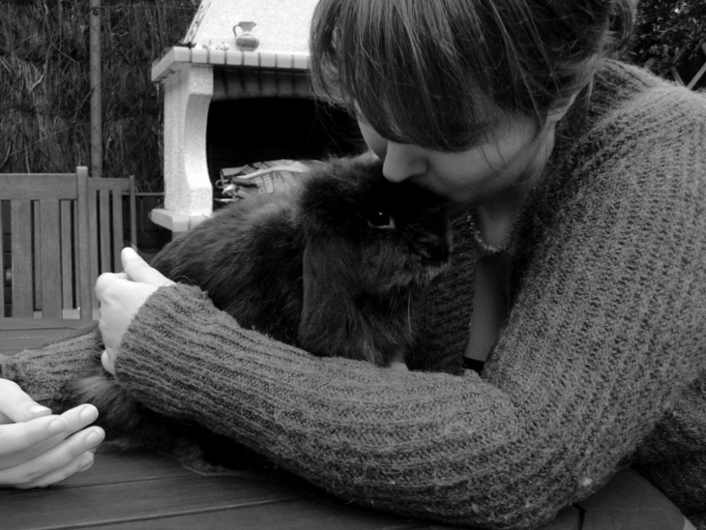 Refuge pour animaux avec lapins