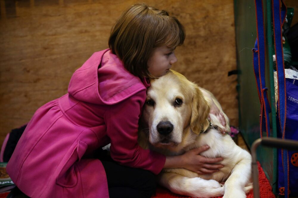 Los perros odian que les abracen todo el tiempo, es una de las cosas que les rompe el corazón