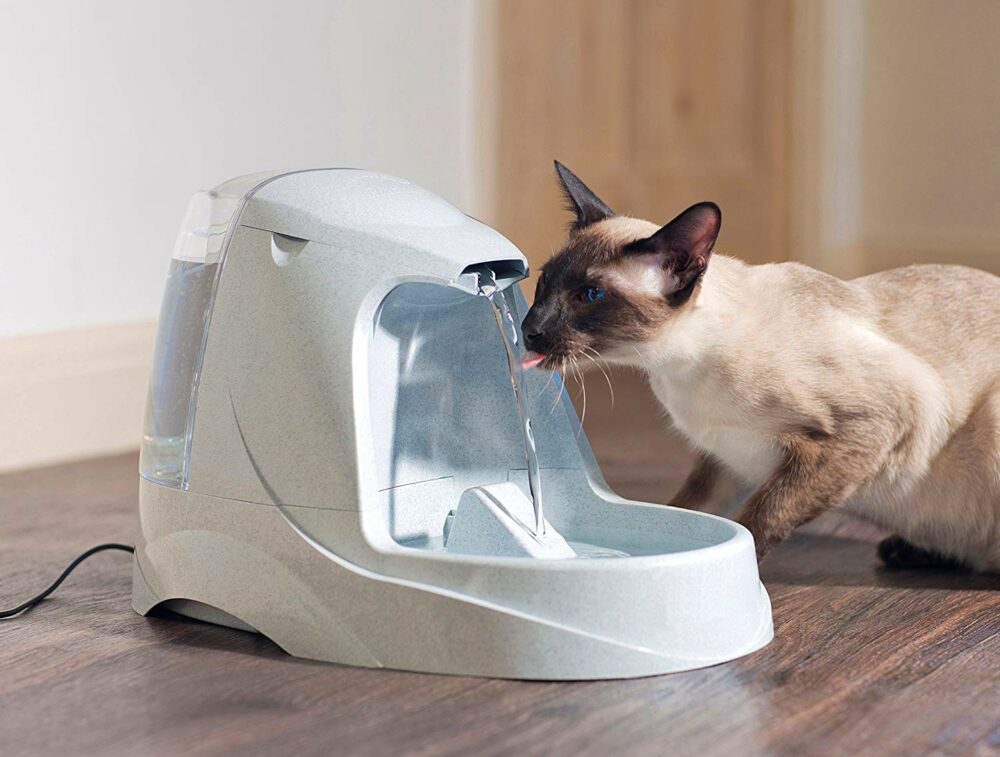 Drinkwell, une fontaine à eau d'une capacité de plus de 5 litres