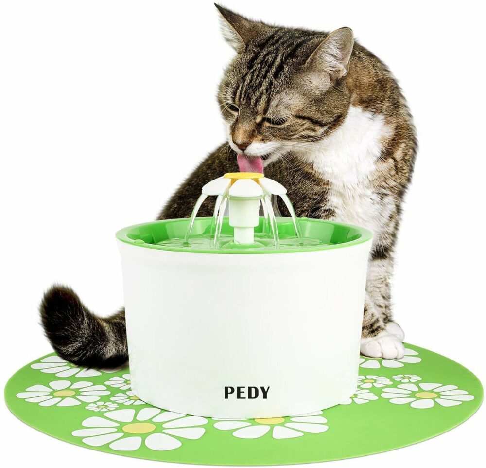 Meilleures fontaines à eau pour chats - Fontaine distributrice de 1,6 L