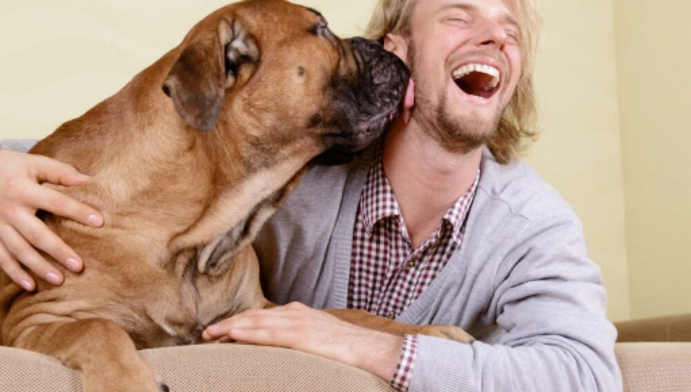 Mejores razas de perros para tener en casa viviendo solo