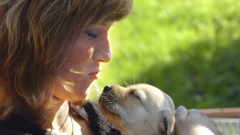 sacar al cachorro a la calle antes de la vacunación