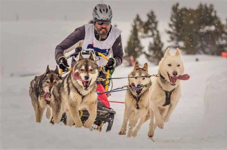 mushing