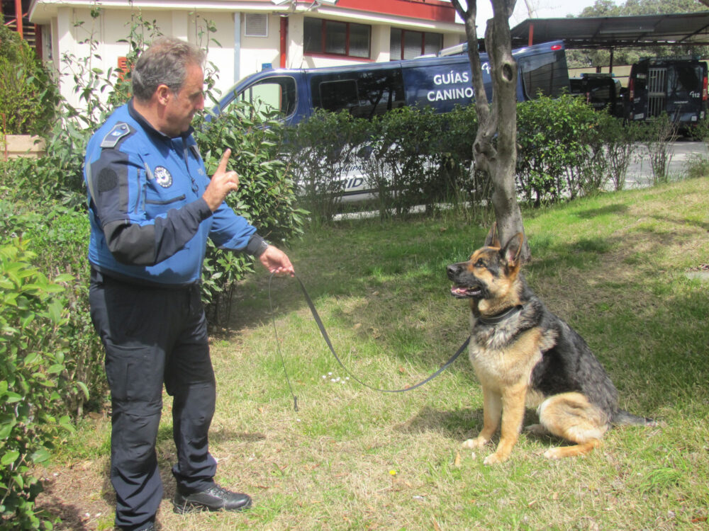 chiens policiers