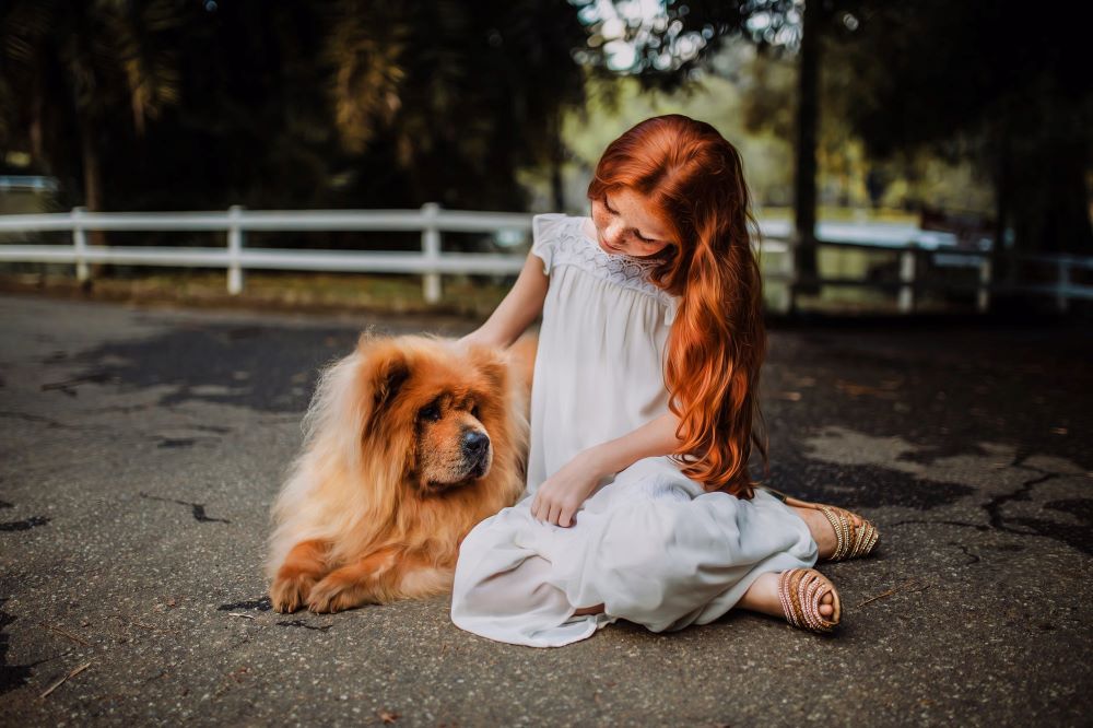 l'effet psychologique des chiens sur les enfants