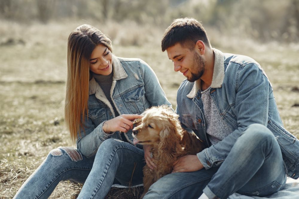 effet d'avoir des chiens de compagnie