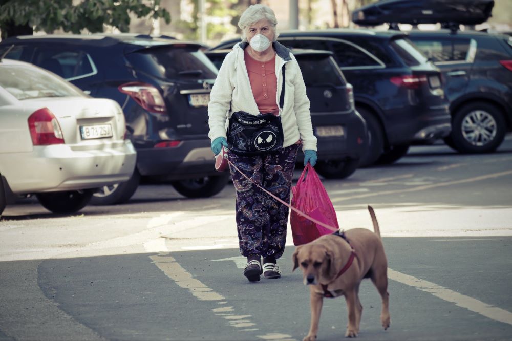Effets psychologiques de la possession d'un chien de compagnie sur les personnes âgées