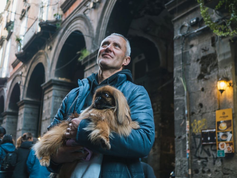 aide aux chiens de compagnie souffrant de dépression