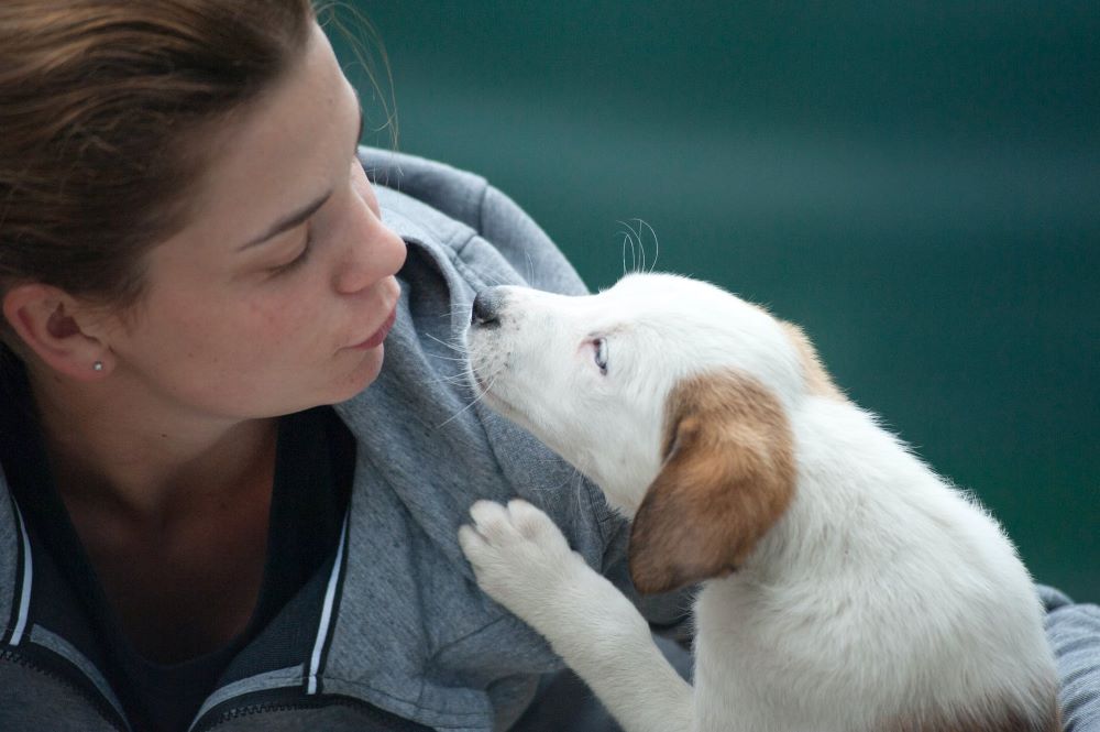 Effets psychologiques d'avoir un chien comme animal de compagnie