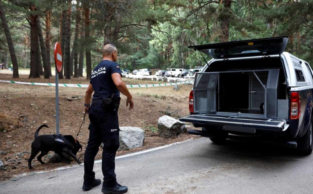 Casos reales en los que los perros policía han ayudado