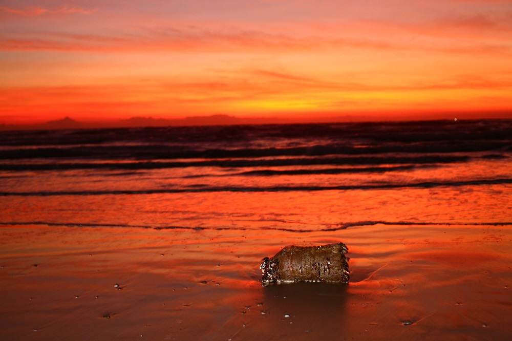 Contaminación de mares y océanos
