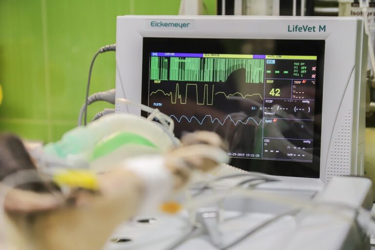 Cómo escoger una clínica veterinaria