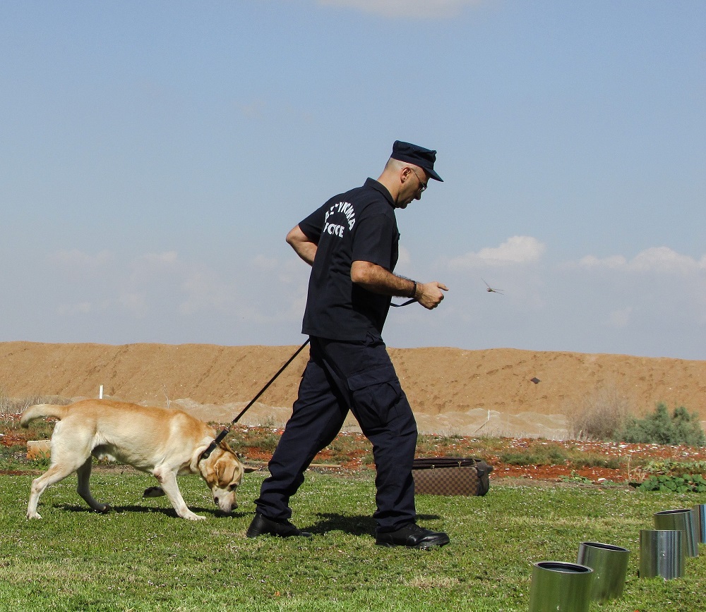 Dresser un chien pour détecter le COVID