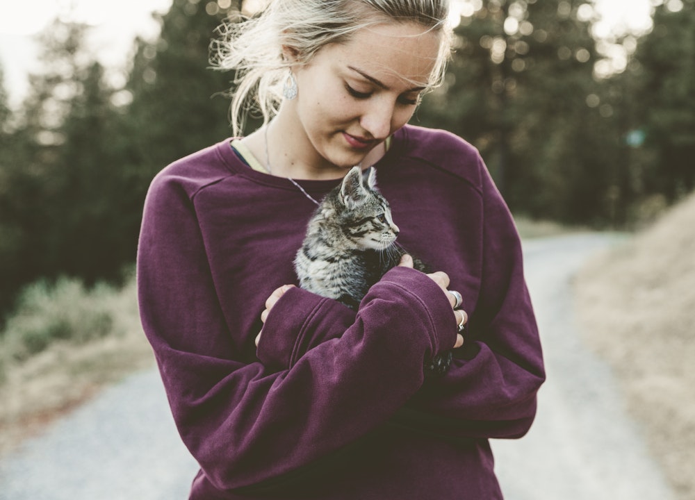 Certains chats recherchent l’attention et c’est pourquoi ils miaulent.