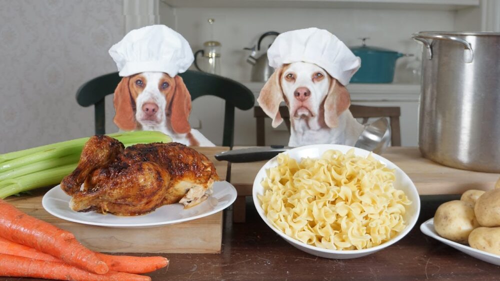 recetas de comida casera para perros