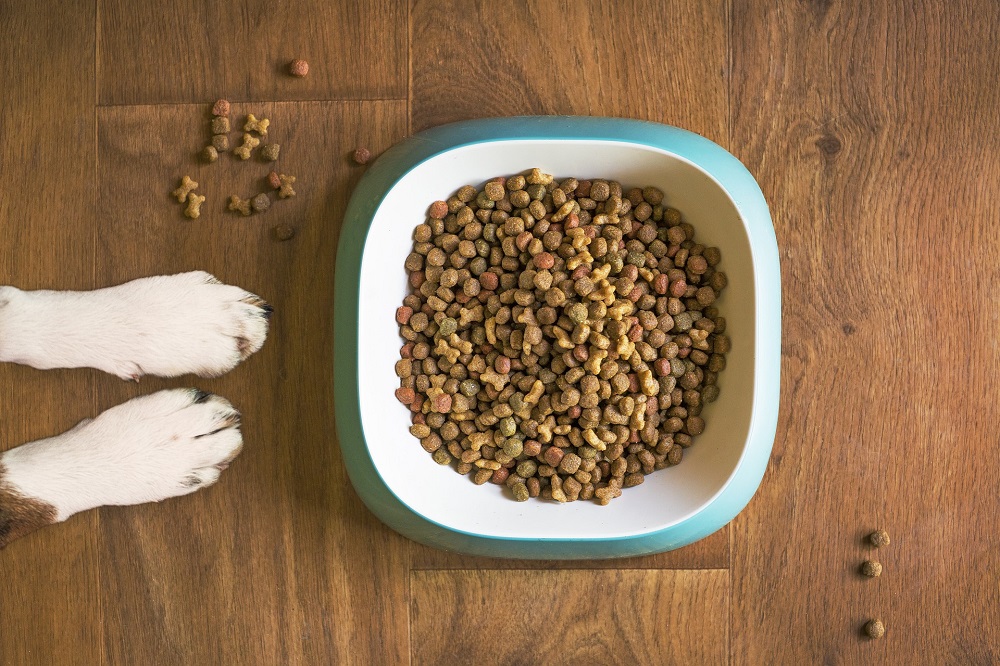 Tout sur la nourriture déshydratée pour chien