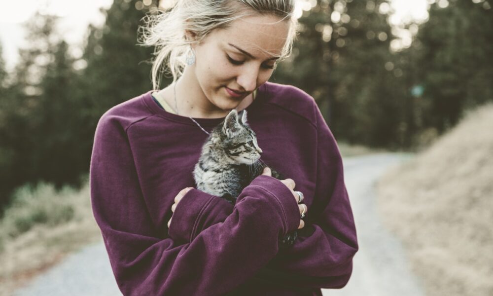 Descubre cómo adoptar un gato en Madrid