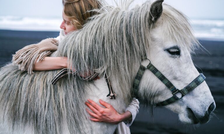 Voici ce que vous devez savoir pour avoir un cheval comme animal de compagnie