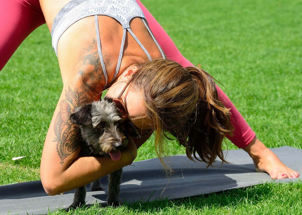 faire des projets avec votre chien