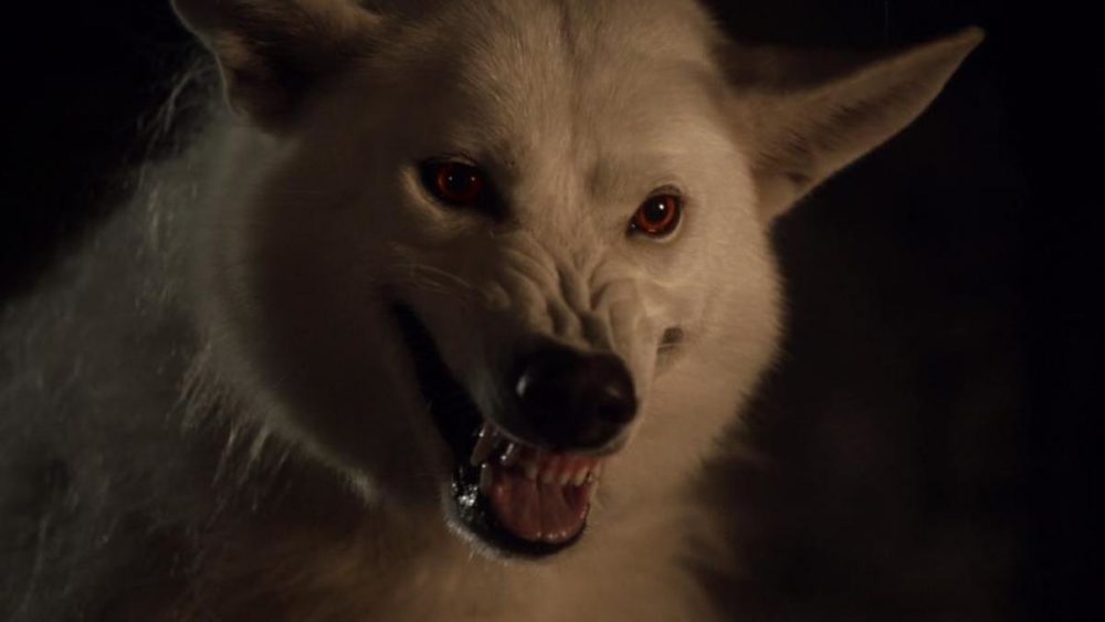Loup géant