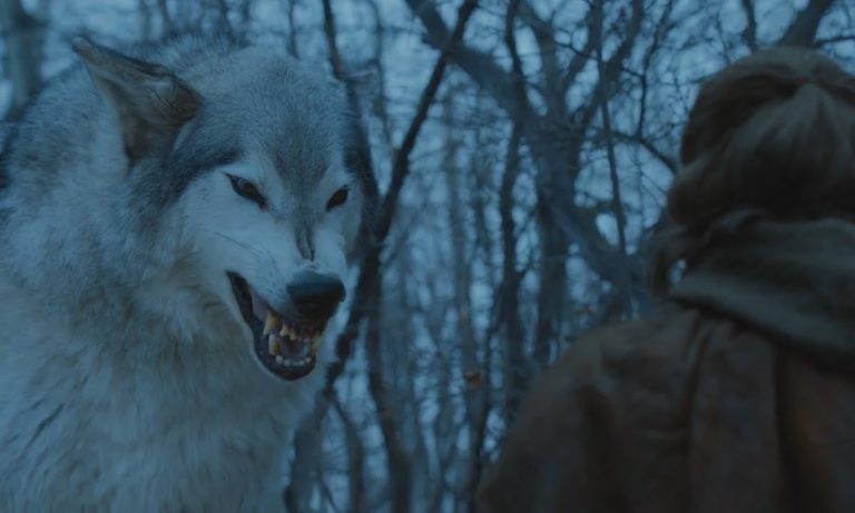 Loup géant