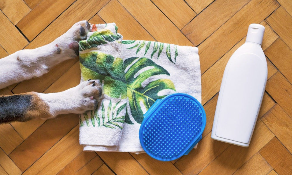 utensilios para bañar a tu perro