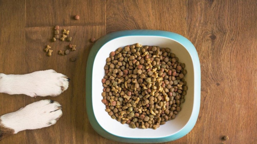 Nourriture pour chiens Mercadona