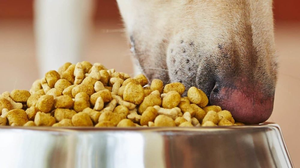 Nourriture pour chiens Mercadona