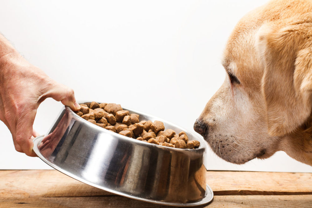 Nourriture pour chiens Mercadona