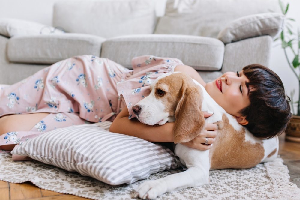 Mon chien a des croûtes sur les oreilles. Prévention