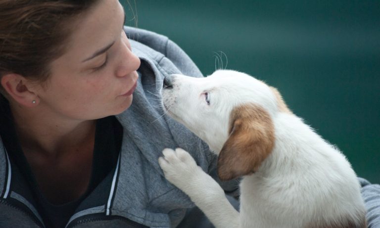 Au Royaume-Uni, la loi reconnaît que les animaux ont des sentiments.