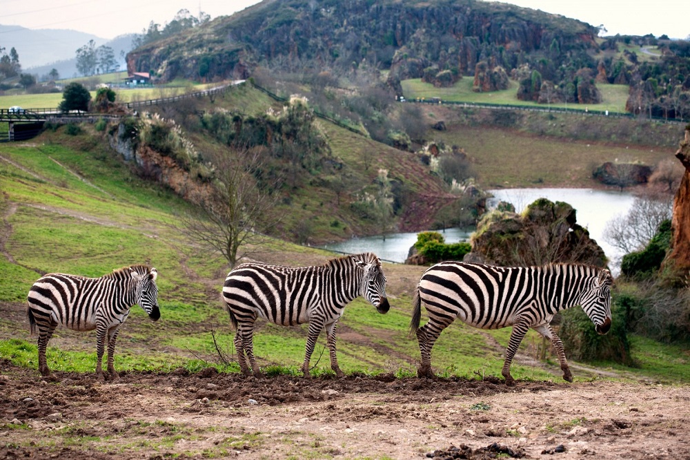 Parc naturel de Cabárceno