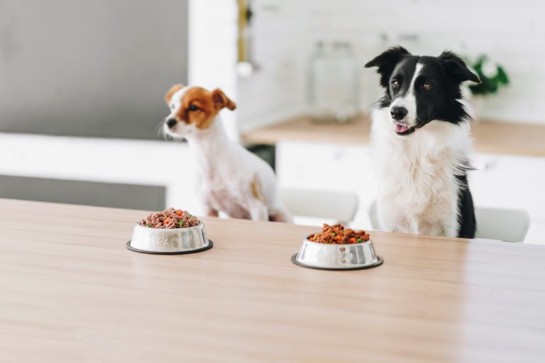 régime pour chiens