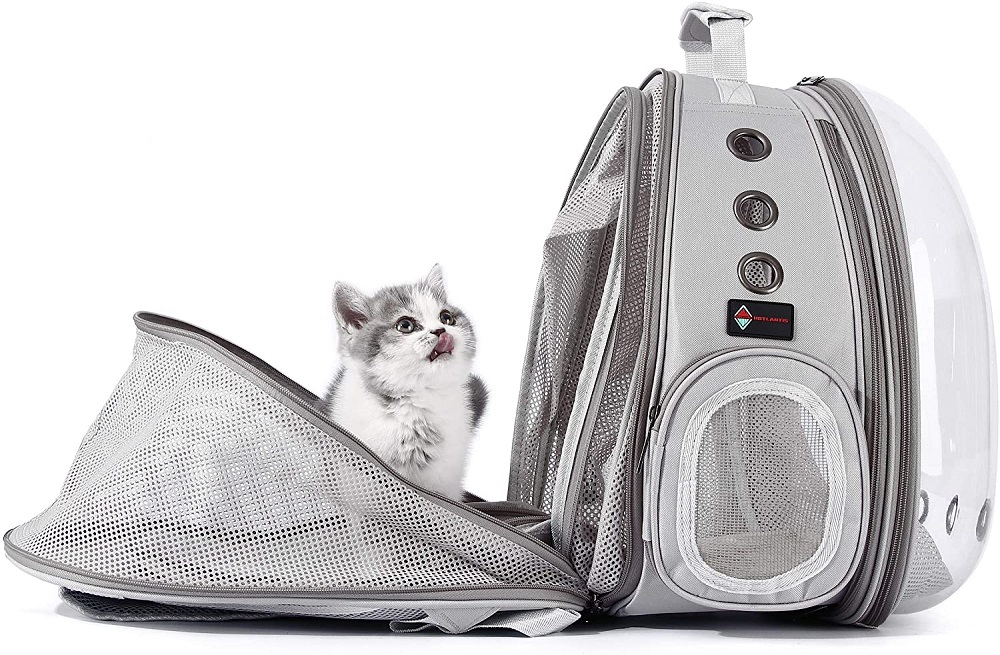 elegir transportín para gatos