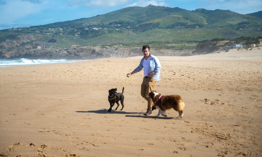 Playa para perros en Barcelona