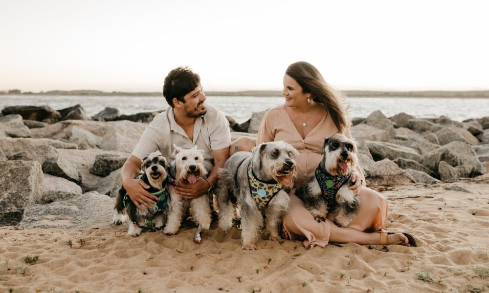 Playas para perros en Cantabria