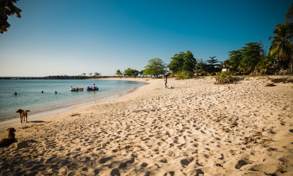 Playa para perros en Valencia