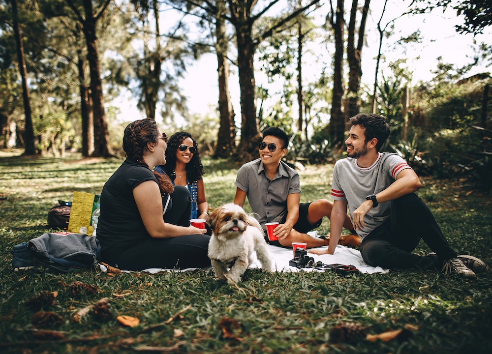 Alimentation équilibrée pour chiens