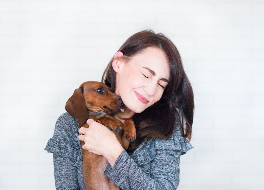 Nouvelle loi sur le bien-être animal
