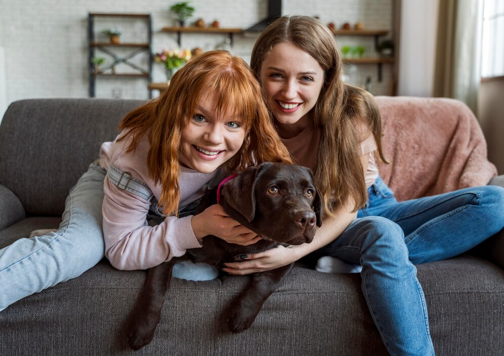 soins aux animaux
