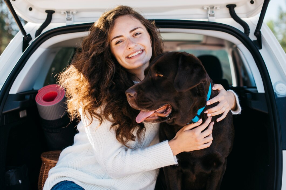 voyager avec des animaux de compagnie