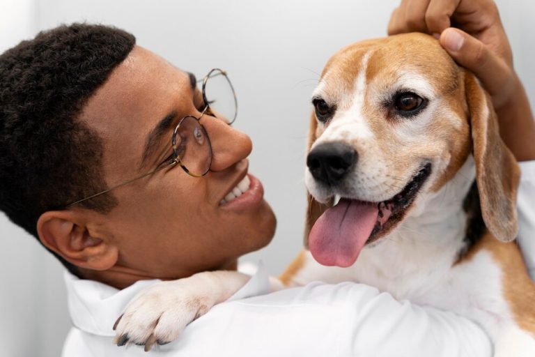 l'anxiété des animaux de compagnie