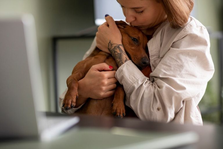 aider votre animal de compagnie