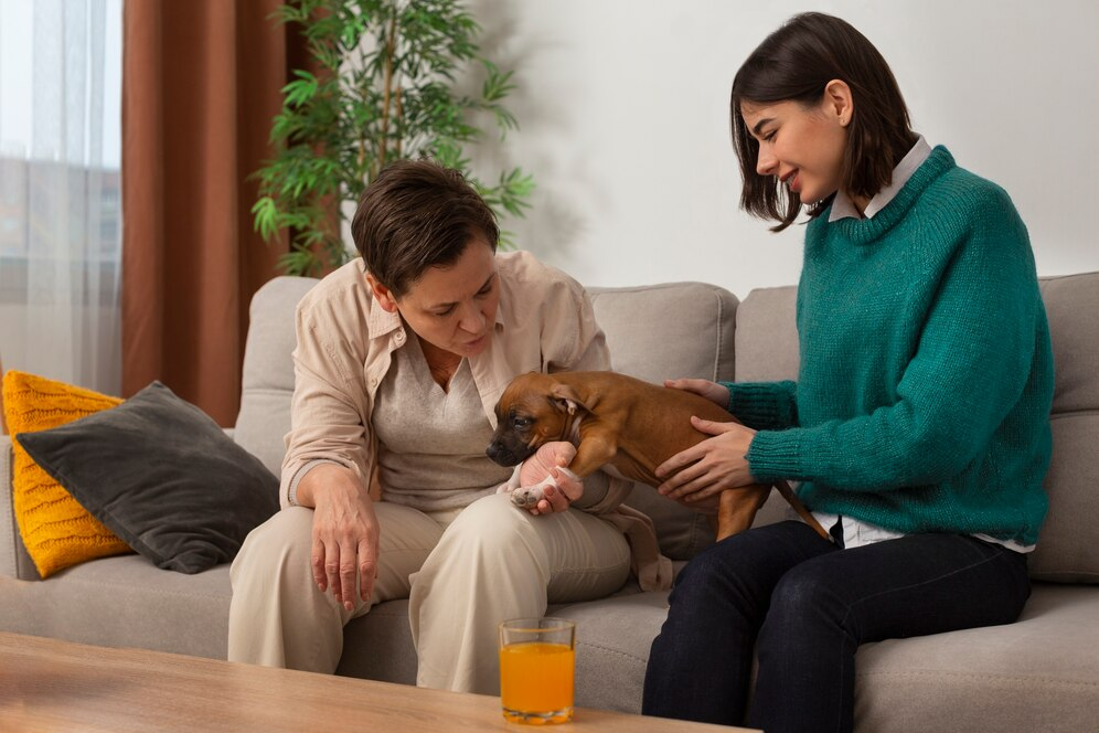 aider votre animal de compagnie