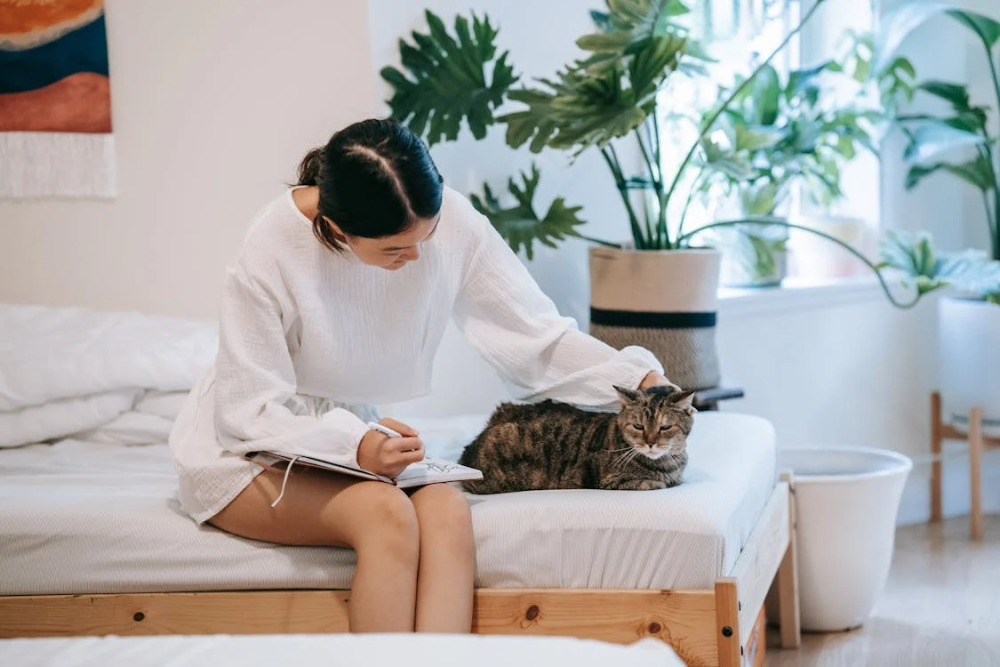 caresse ton chat