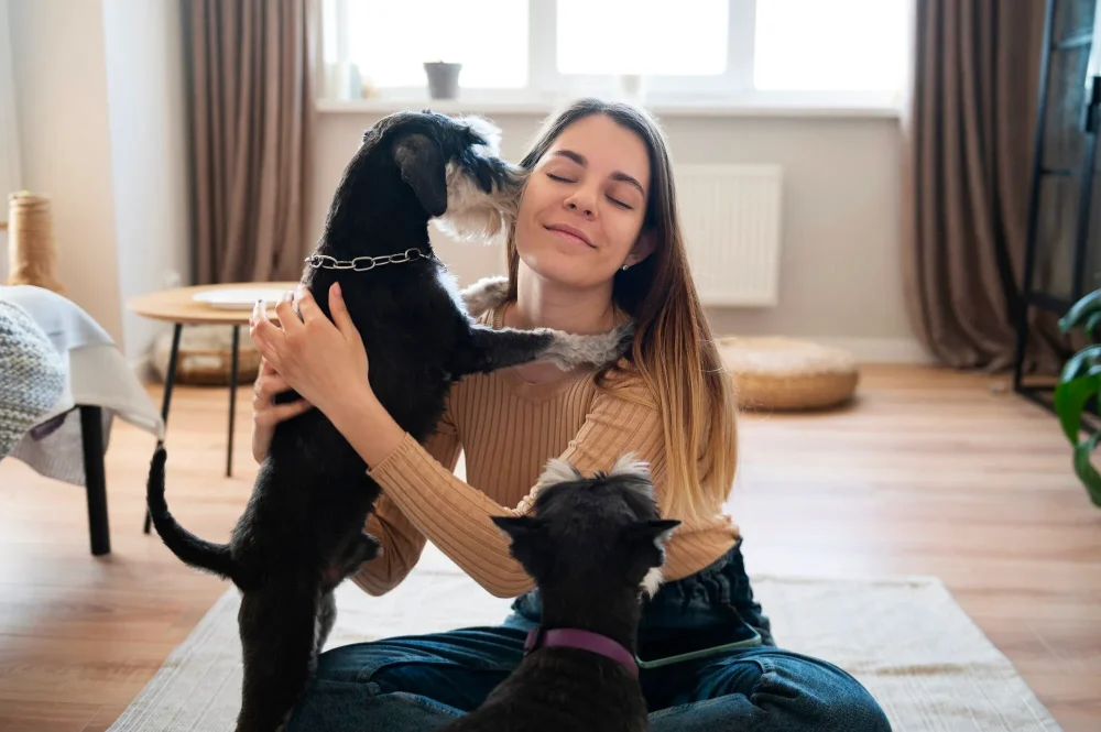 comida para perros y gatos