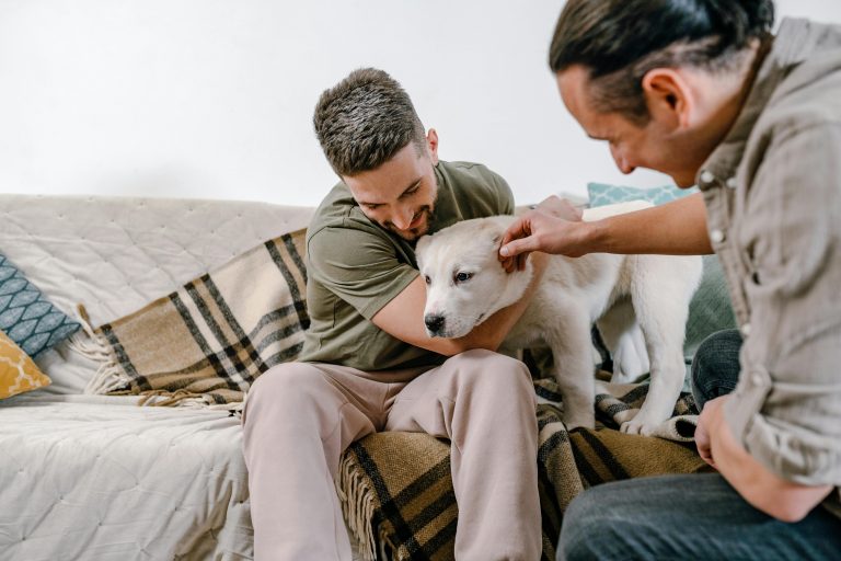 adopter des animaux de compagnie