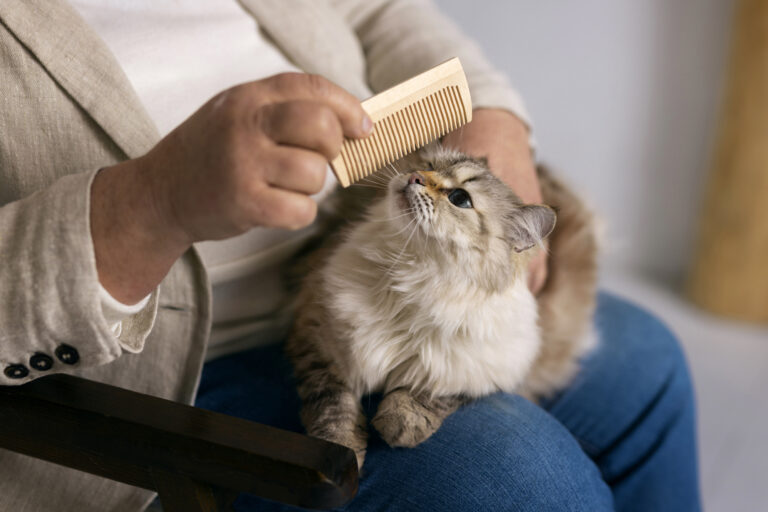 pierde pelo