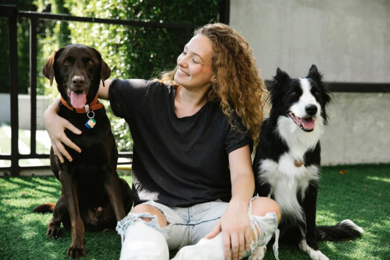 adoptar una mascota adulta